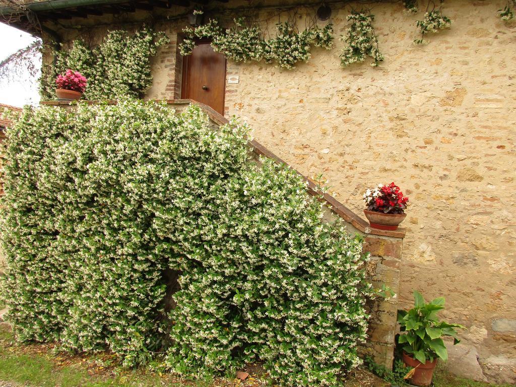 Agriturismo Podere Cappella Villa San Gimignano Exterior photo